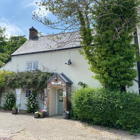 Bed and Breakfast Heathcote House Milborne Saint Andrew Exterior foto